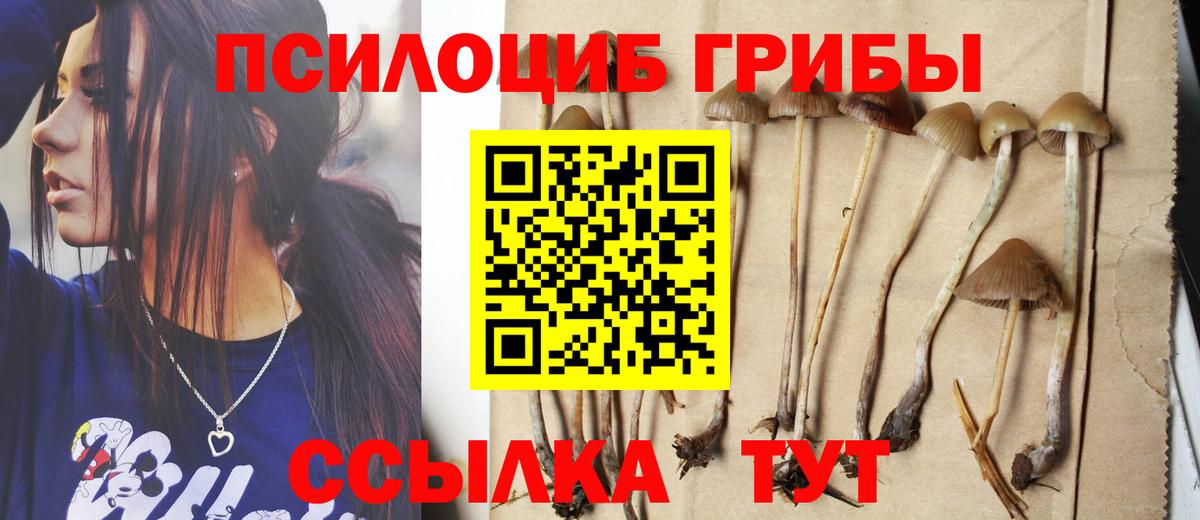 Галлюциногенные грибы Psilocybe Кушва